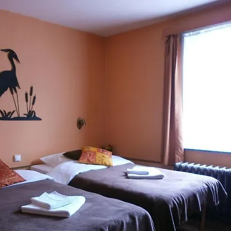 Cobut * Фалаен